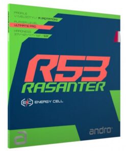 Mặt vợt Andro Rasanter R53