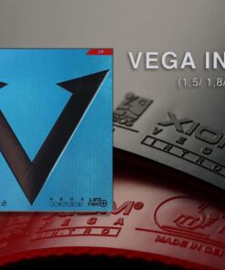 Mặt vợt Xiom Vega Intro