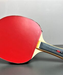 Combo cốt vợt 3W kết hợp với đôi mặt vợt Razer (xanh-cam)