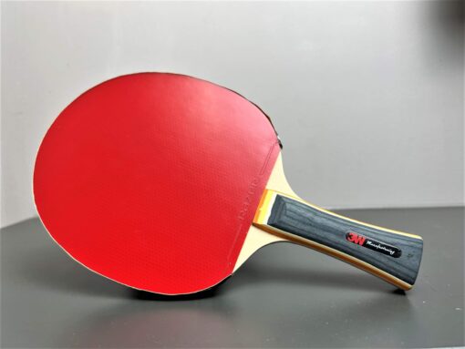 Combo cốt vợt 3W kết hợp với đôi mặt vợt Razer (xanh-cam)