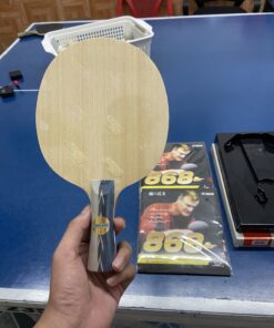 Combo cốt vợt DHS PG 9 kết hợp với đôi mặt vợt kokutaku 868