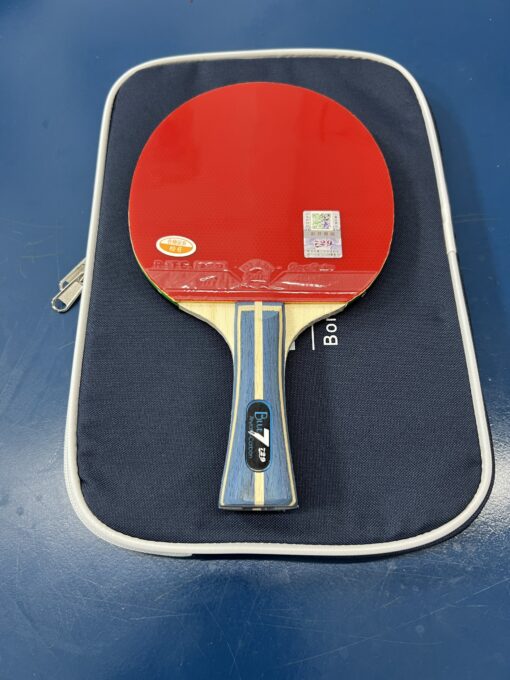 Combo cốt vợt 729 Arylate Carbon Blue kết hợp đôi mặt vợt 729 GS
